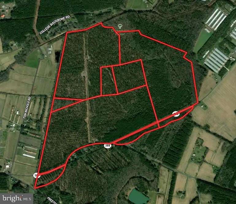 379 Acres of Land for Auction in Princess Anne, Maryland