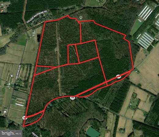 379 Acres of Land for Auction in Princess Anne, Maryland