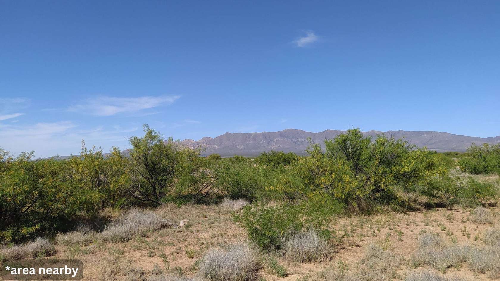 0.22 Acres of Residential Land for Sale in Douglas, Arizona