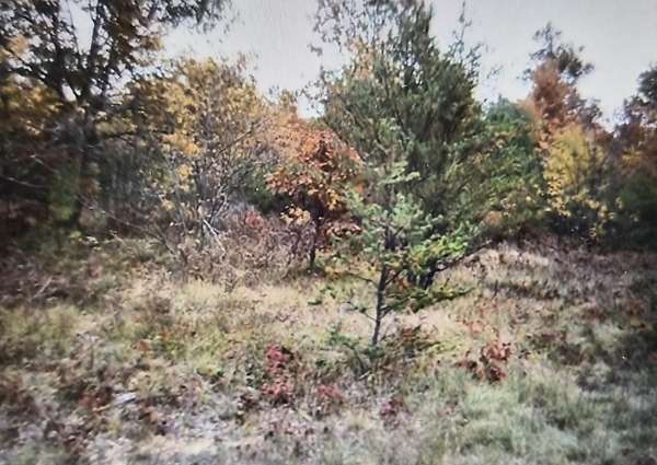 0.5 Acres of Residential Land for Sale in Grayling, Michigan