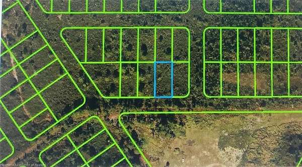 0.26 Acres of Residential Land for Sale in Lake Placid, Florida