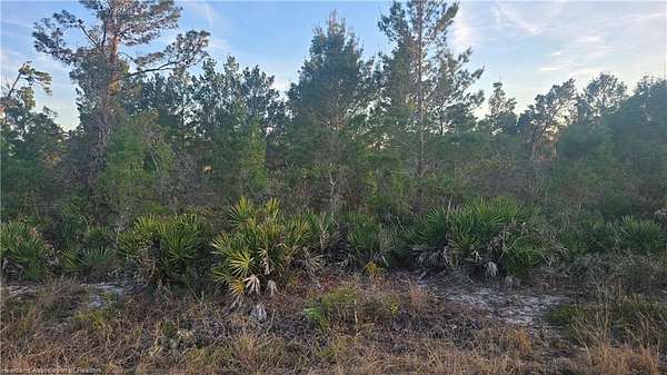 0.65 Acres of Residential Land for Sale in Sebring, Florida