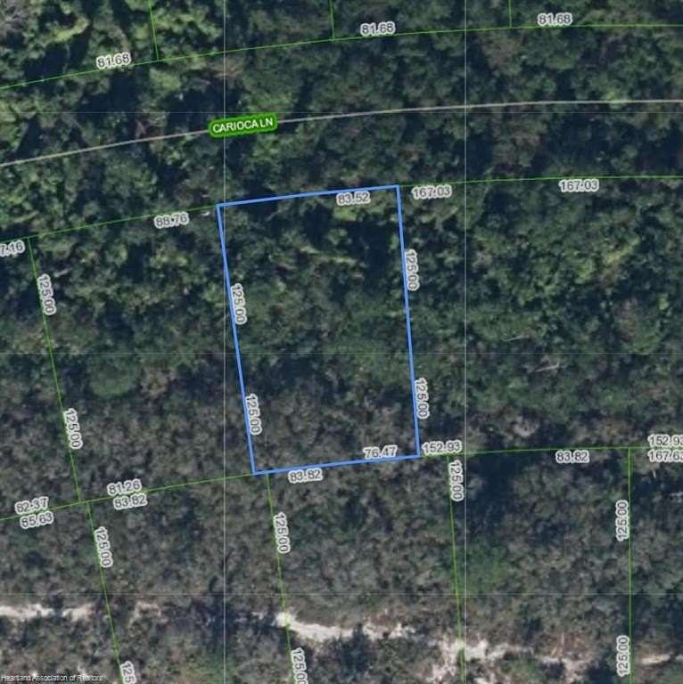0.23 Acres of Residential Land for Sale in Lake Placid, Florida