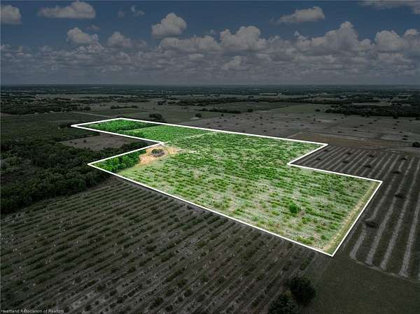 54 Acres of Agricultural & Residential Land for Sale in Wauchula, Florida