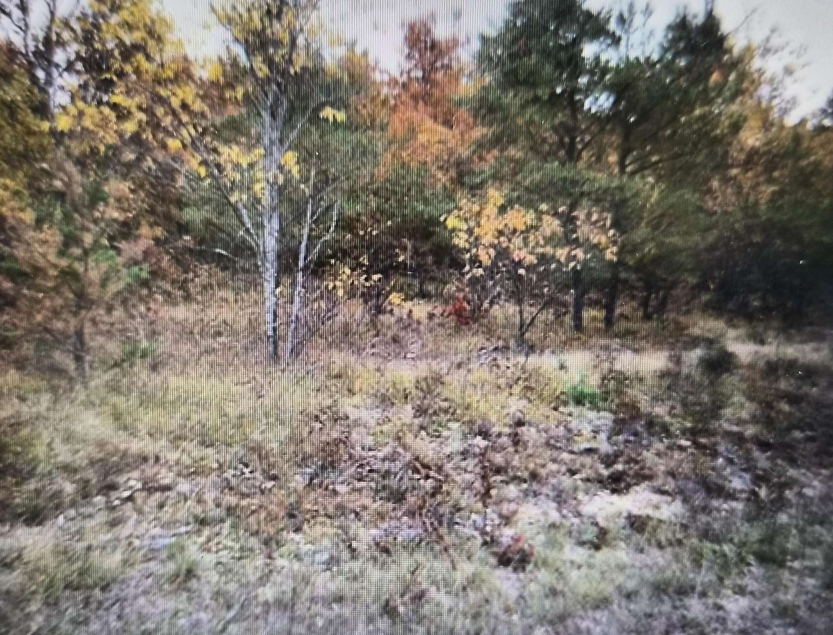 0.46 Acres of Residential Land for Sale in Grayling, Michigan