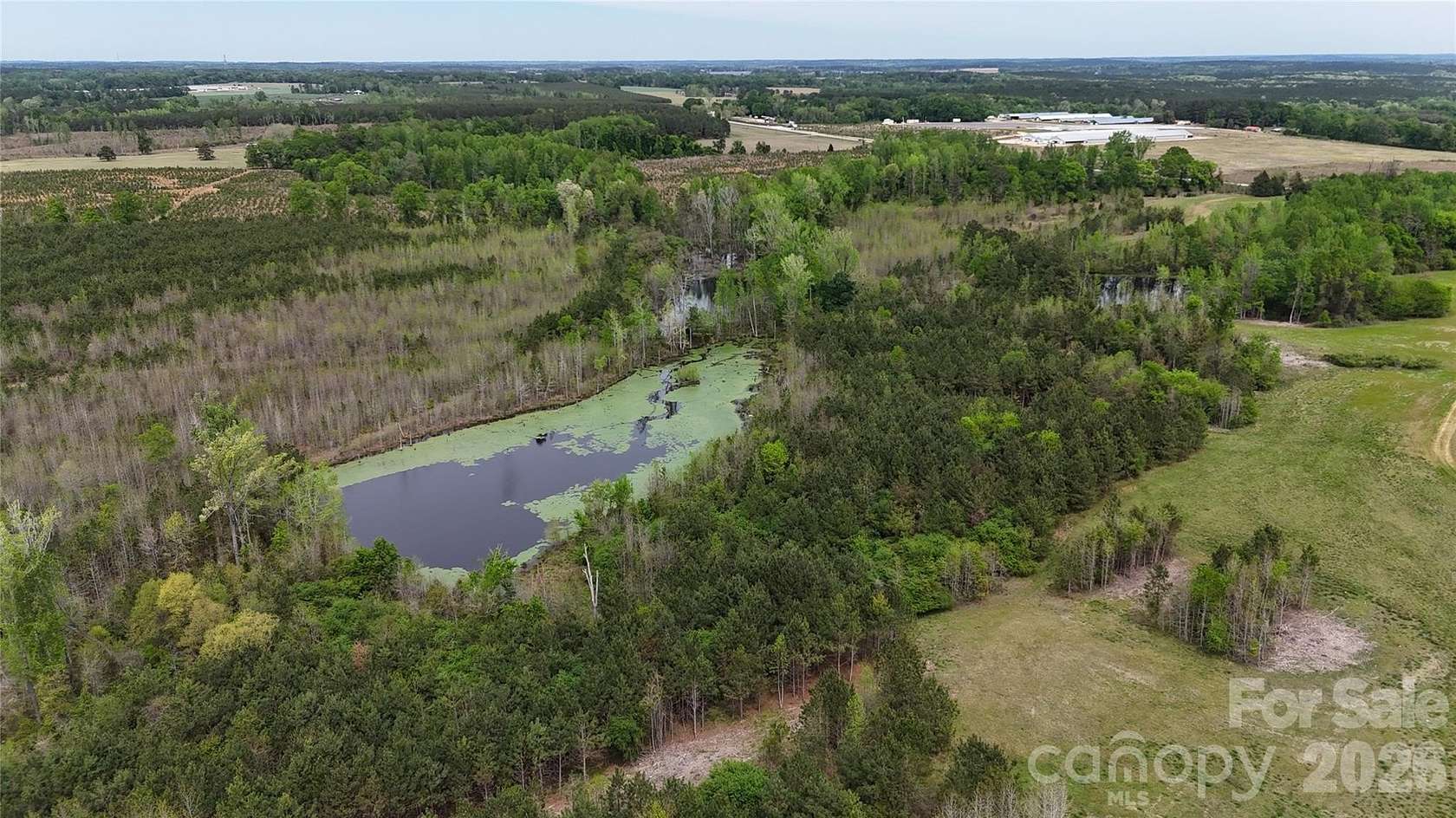 240 Acres of Recreational & Residential Land for Sale in Cheraw, South Carolina