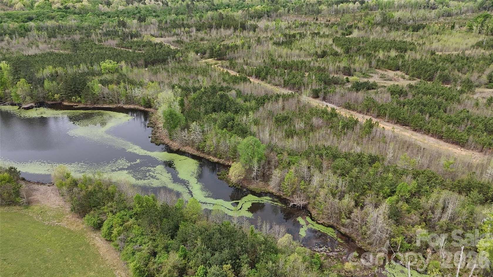 240 Acres of Recreational & Residential Land for Sale in Cheraw, South Carolina