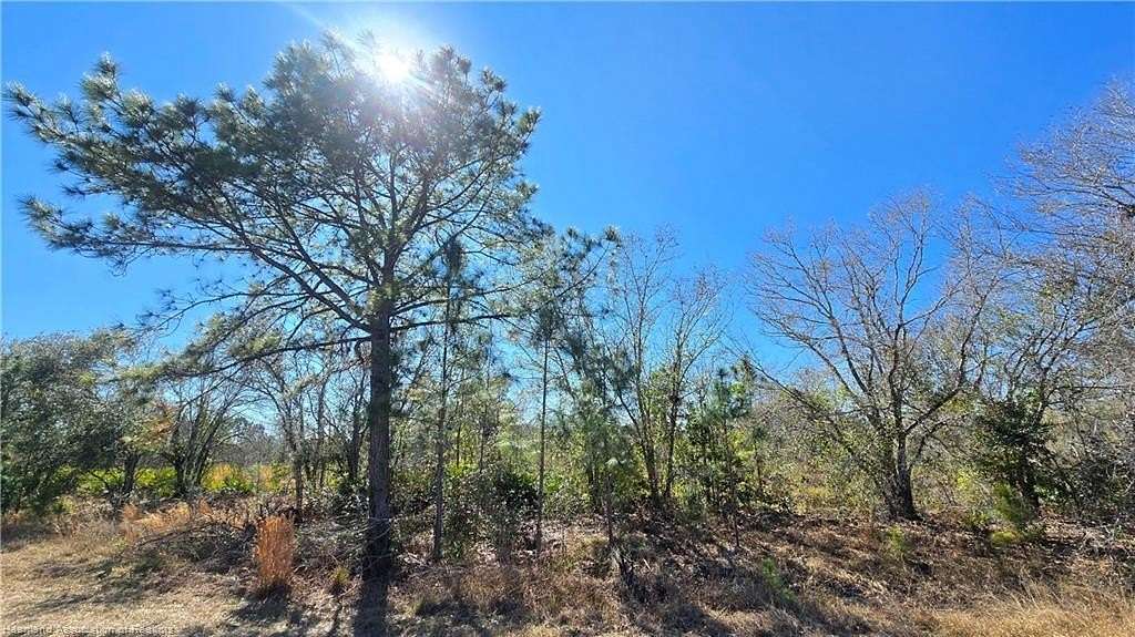 1.15 Acres of Residential Land for Sale in Avon Park, Florida