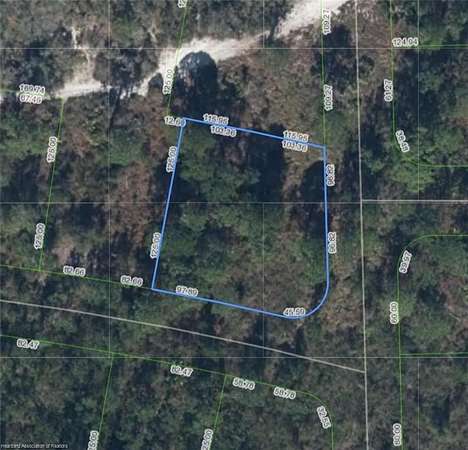 0.34 Acres of Residential Land for Sale in Lake Placid, Florida