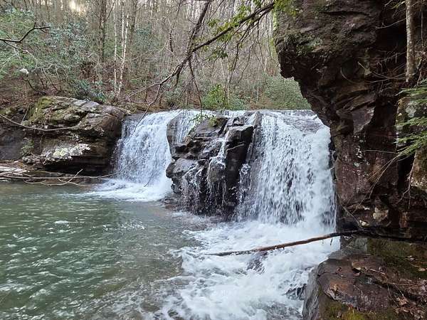 216 Acres of Recreational Land for Auction in Dunlap, Tennessee