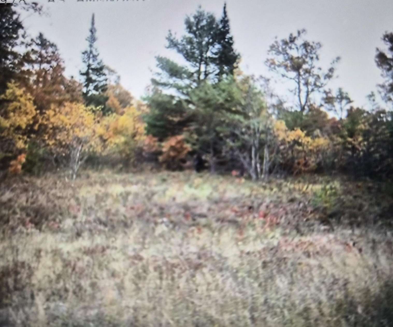 0.5 Acres of Residential Land for Sale in Grayling, Michigan