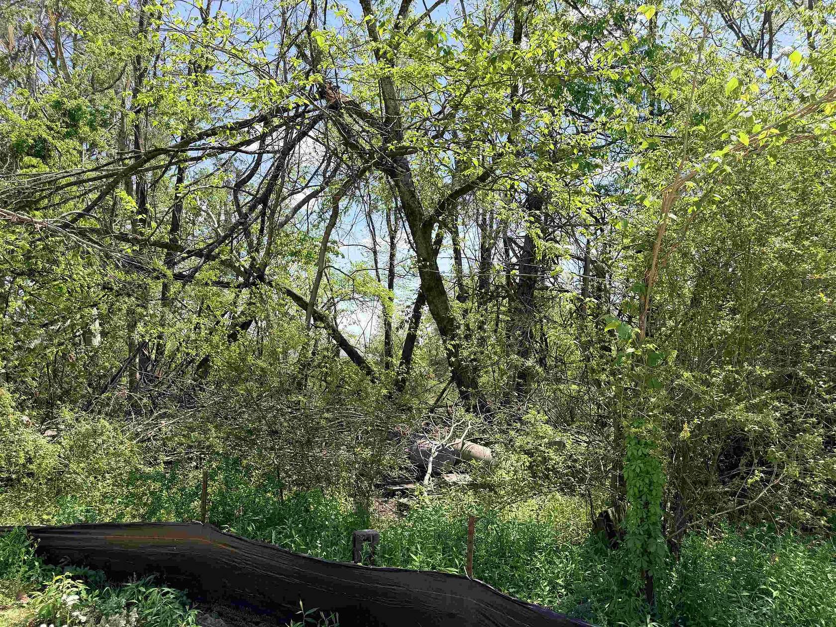 0.38 Acres of Commercial Land for Sale in Savannah, Tennessee