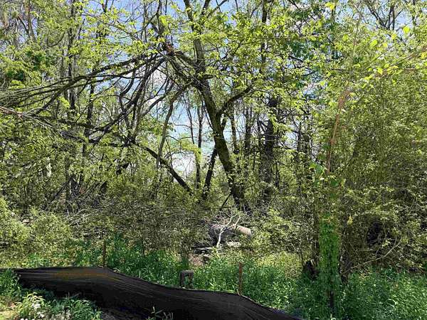 0.38 Acres of Commercial Land for Sale in Savannah, Tennessee