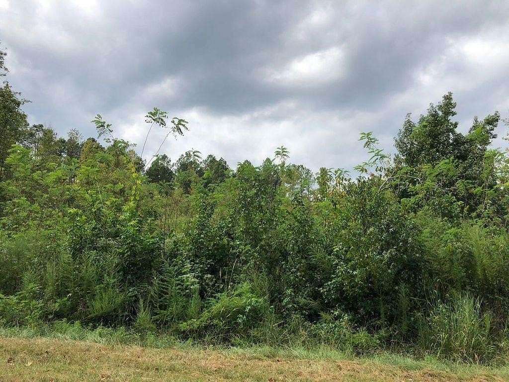 0.5 Acres of Residential Land for Sale in Sparta, Georgia
