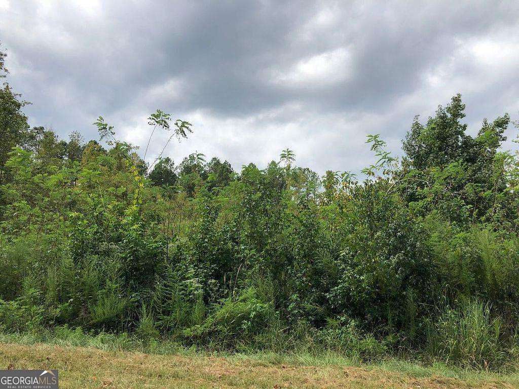 0.5 Acres of Land for Sale in Sparta, Georgia