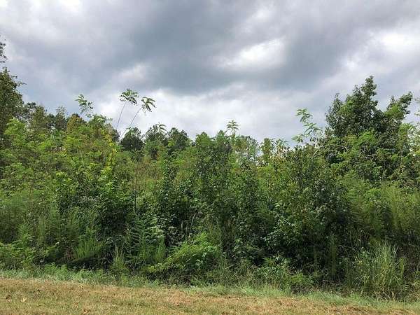 0.5 Acres of Residential Land for Sale in Sparta, Georgia