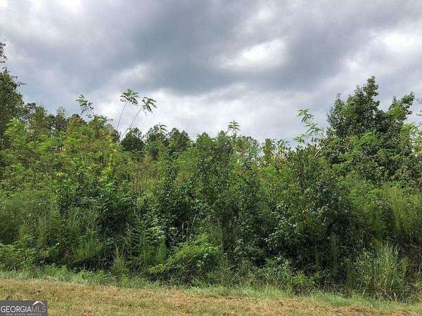 0.5 Acres of Land for Sale in Sparta, Georgia