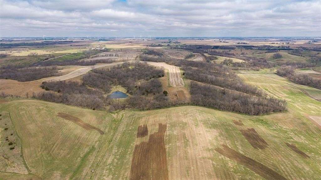 119 Acres of Land for Sale in Williamsburg, Iowa