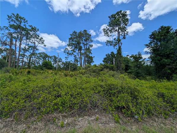 0.23 Acres of Mixed-Use Land for Sale in Lake Placid, Florida