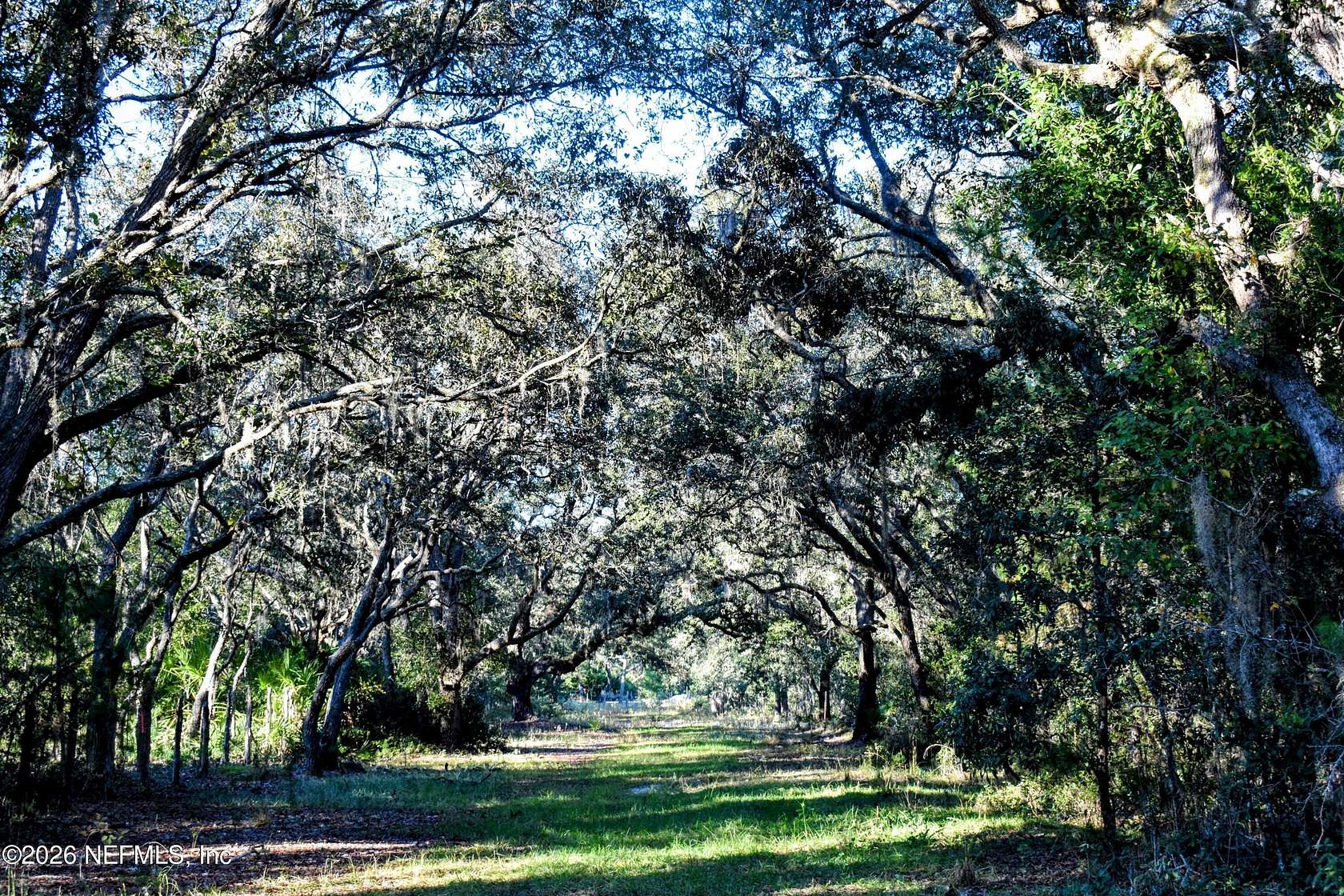 15 Acres of Agricultural Land for Sale in Interlachen, Florida