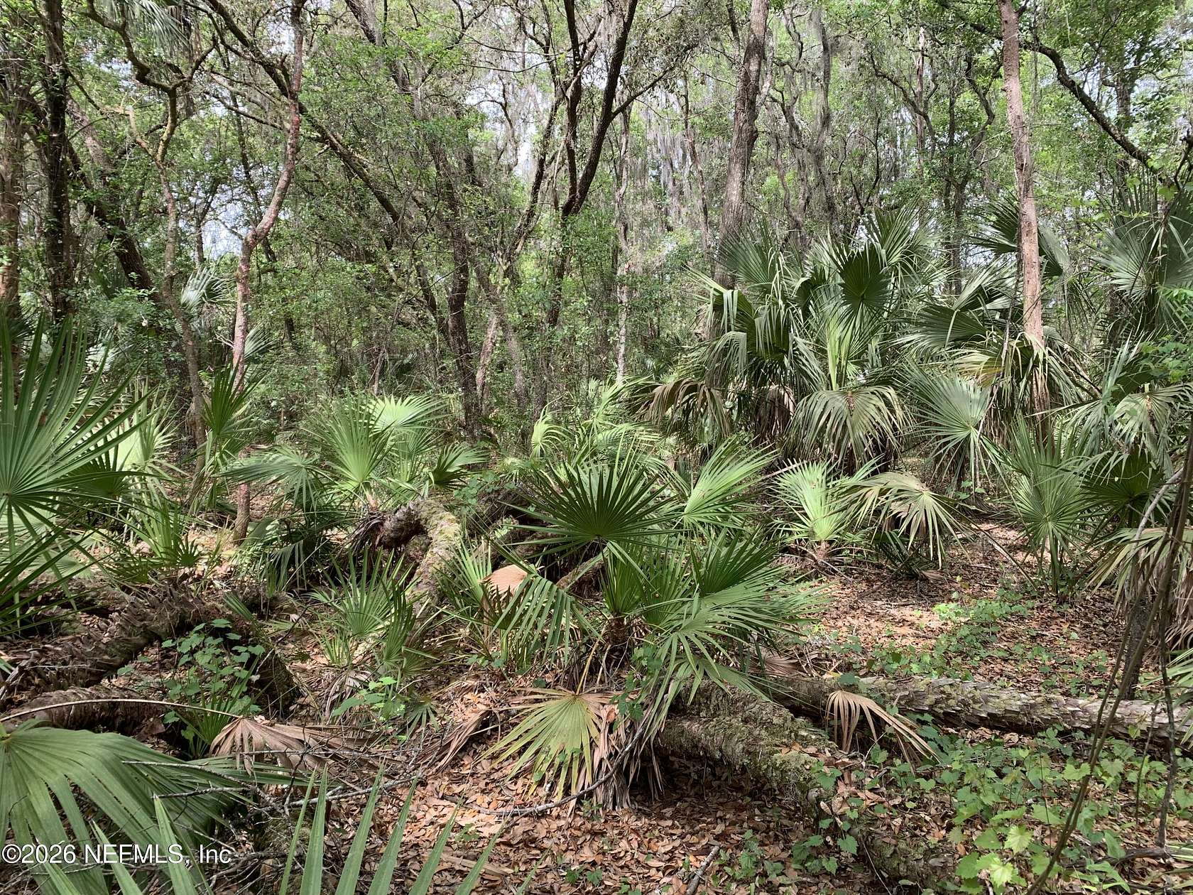 0.3 Acres of Land for Sale in Interlachen, Florida