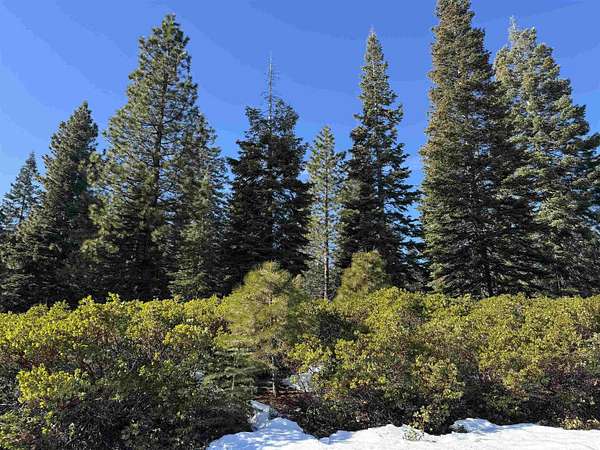 0.27 Acres of Residential Land for Sale in Lake Almanor Peninsula, California