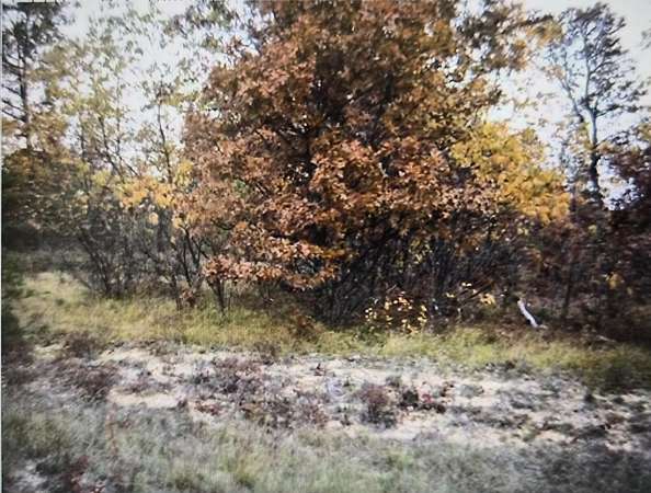 0.5 Acres of Residential Land for Sale in Grayling, Michigan