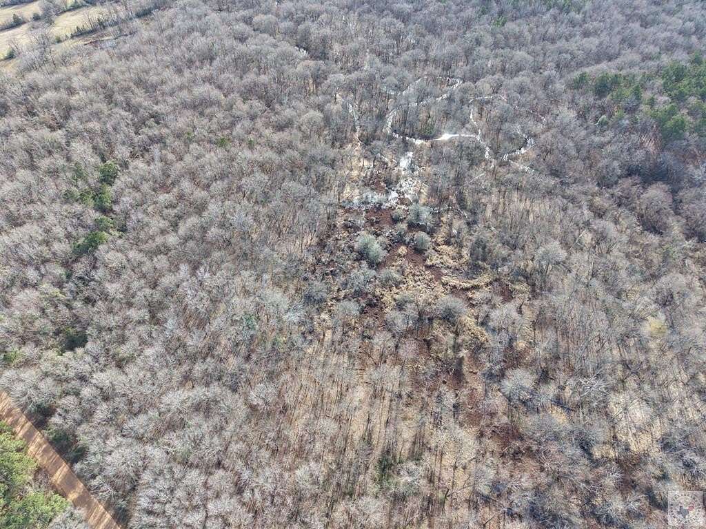 41 Acres of Recreational & Residential Land for Sale in De Kalb, Texas