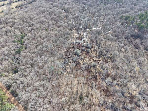 41 Acres of Recreational & Residential Land for Sale in De Kalb, Texas