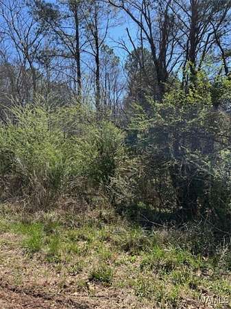 3.36 Acres of Residential Land for Sale in McCalla, Alabama