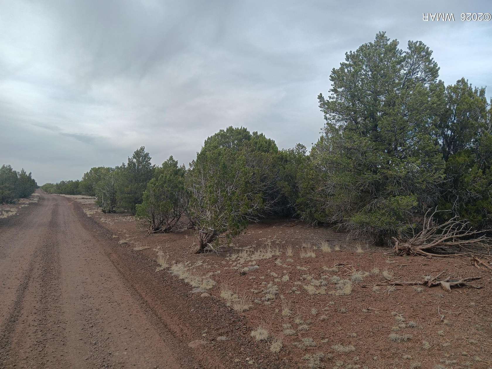 5 Acres of Residential Land for Sale in Concho, Arizona