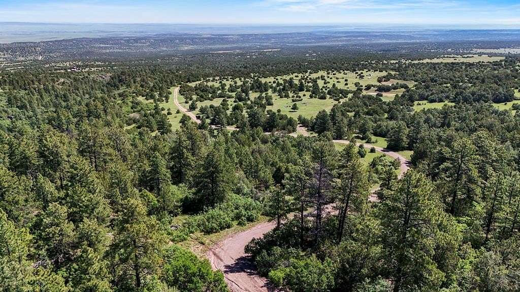 45.2 Acres of Recreational Land for Sale in Beulah, Colorado