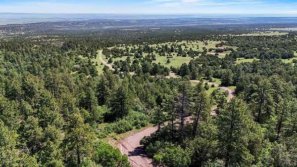 45.2 Acres of Recreational Land for Sale in Beulah, Colorado