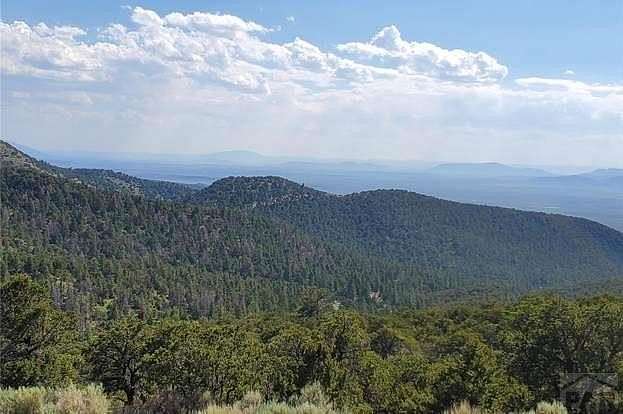 5.25 Acres of Recreational Land for Sale in Fort Garland, Colorado