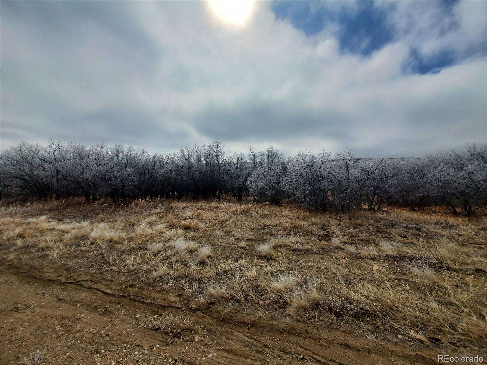 0.25 Acres of Residential Land for Sale in Colorado City, Colorado