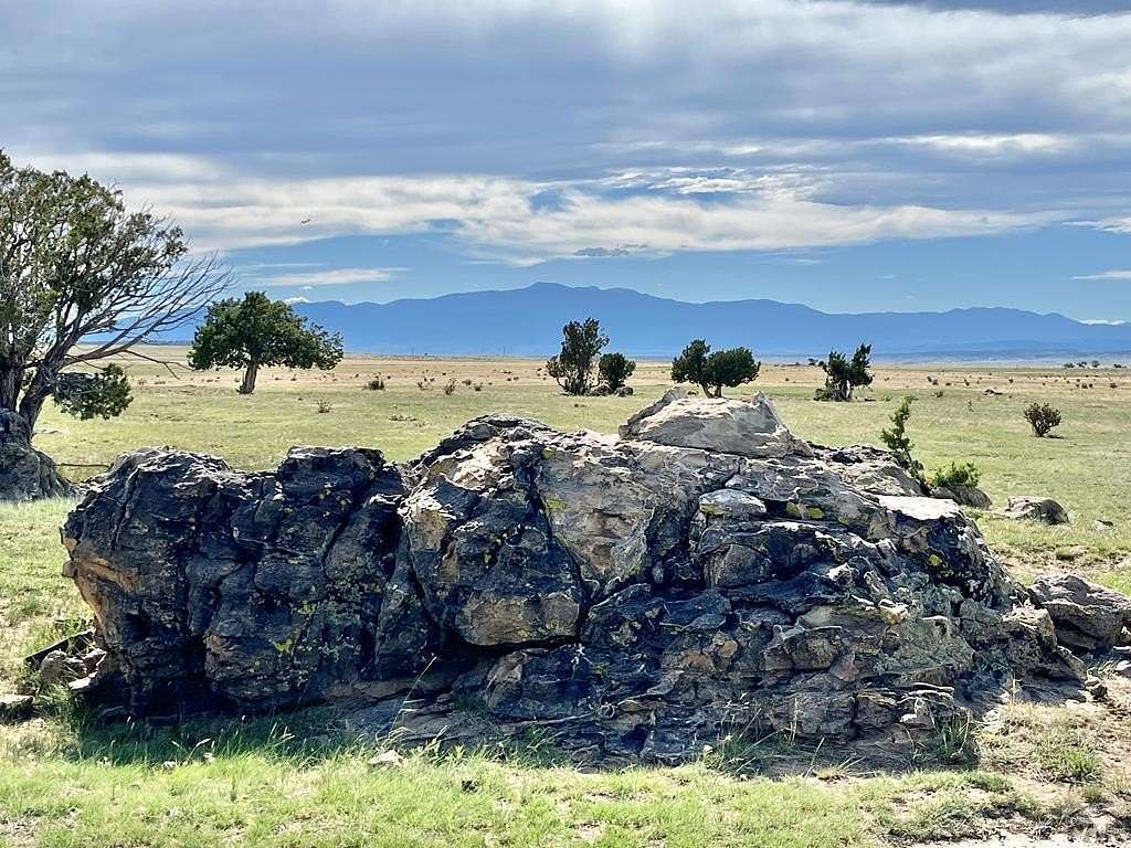 81.6 Acres of Recreational Land for Sale in Walsenburg, Colorado