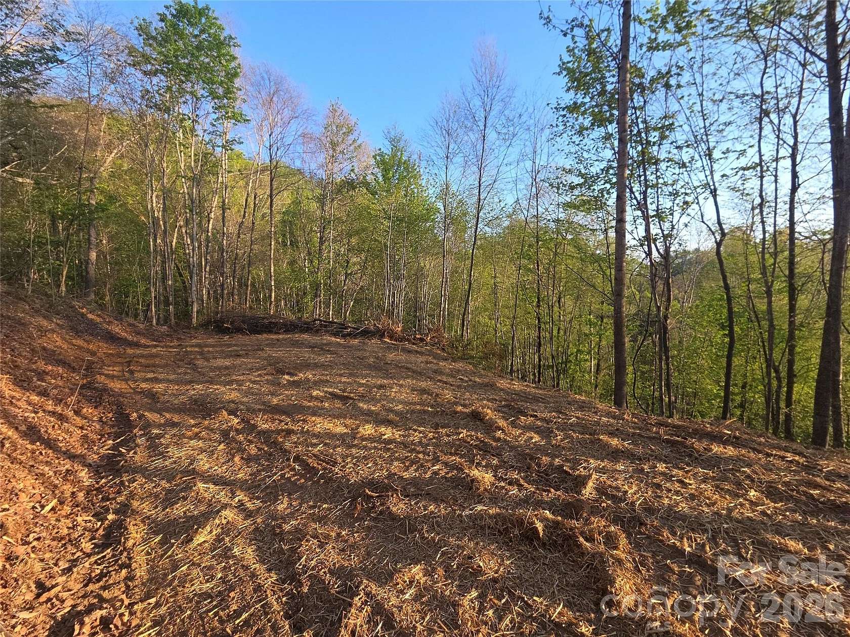 2 Acres of Residential Land for Sale in Waynesville, North Carolina