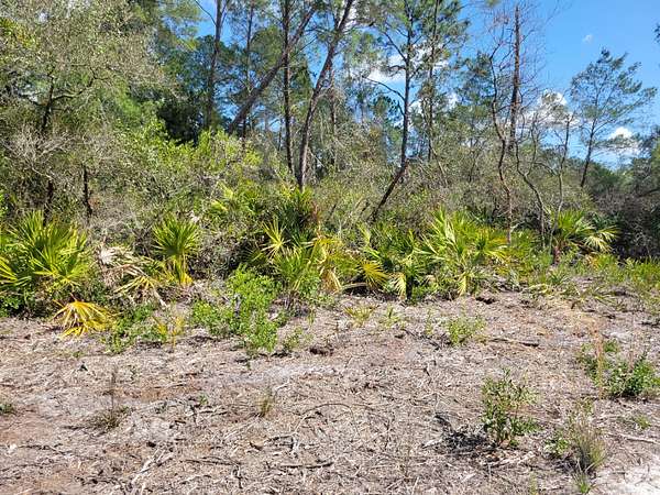 0.17 Acres of Residential Land for Sale in Paisley, Florida