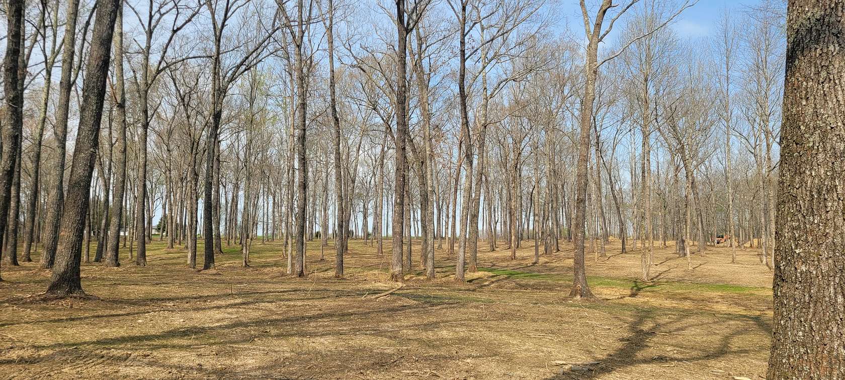 12 Acres of Land for Sale in Morrison, Tennessee