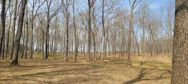 12 Acres of Land for Sale in Morrison, Tennessee