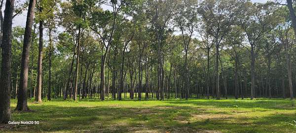 12 Acres of Land for Sale in Morrison, Tennessee