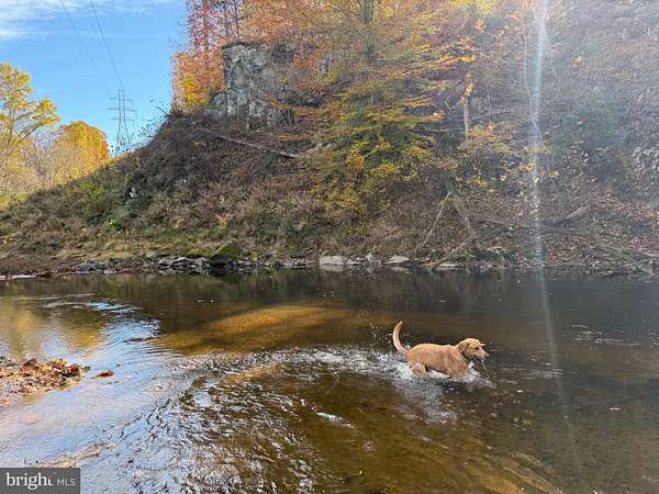 29.6 Acres of Land for Sale in Arvonia, Virginia