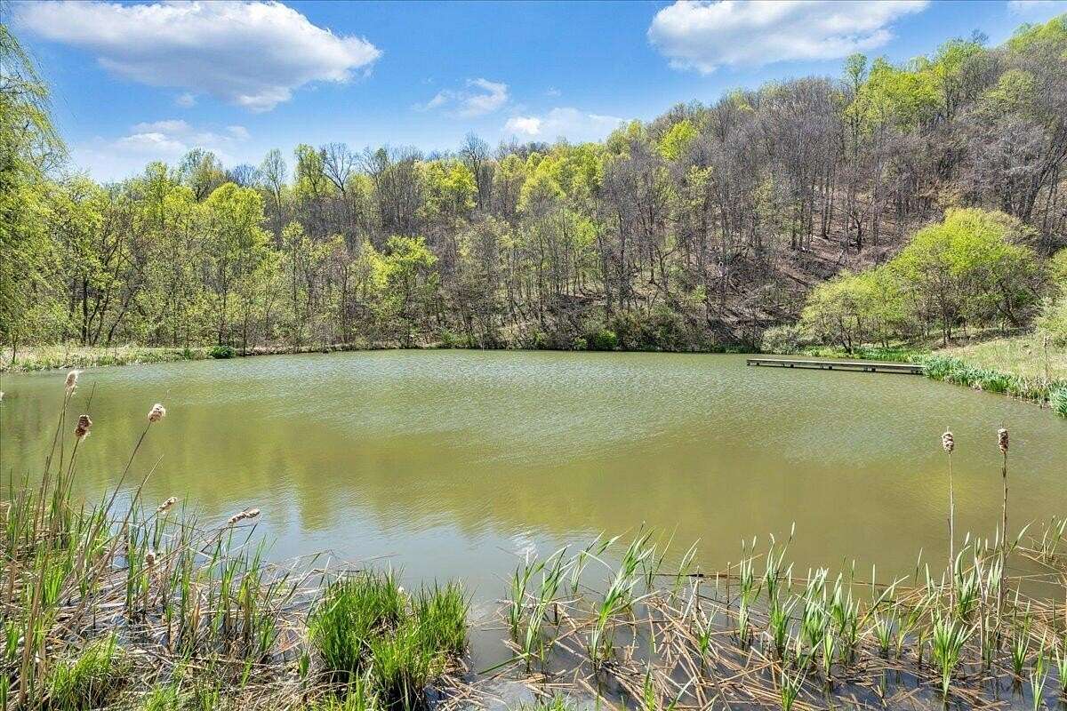 50.5 Acres of Recreational & Residential Land for Sale in Buchanan, Virginia