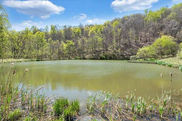 50.5 Acres of Recreational & Residential Land for Sale in Buchanan, Virginia