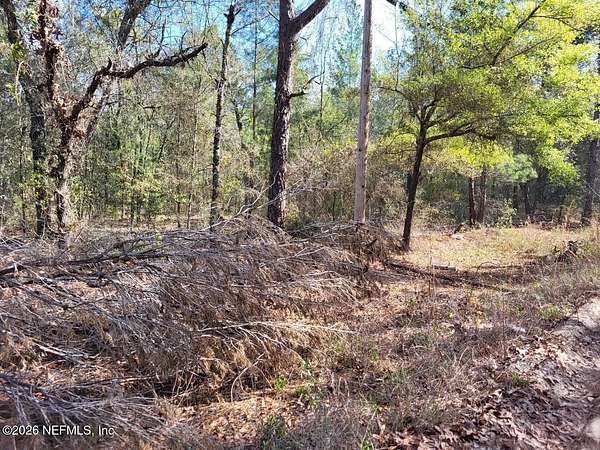0.38 Acres of Residential Land for Sale in Keystone Heights, Florida