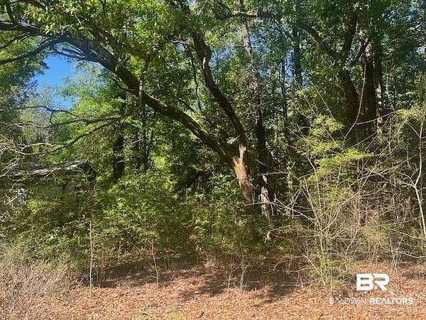 Residential Land for Sale in Bay Minette, Alabama