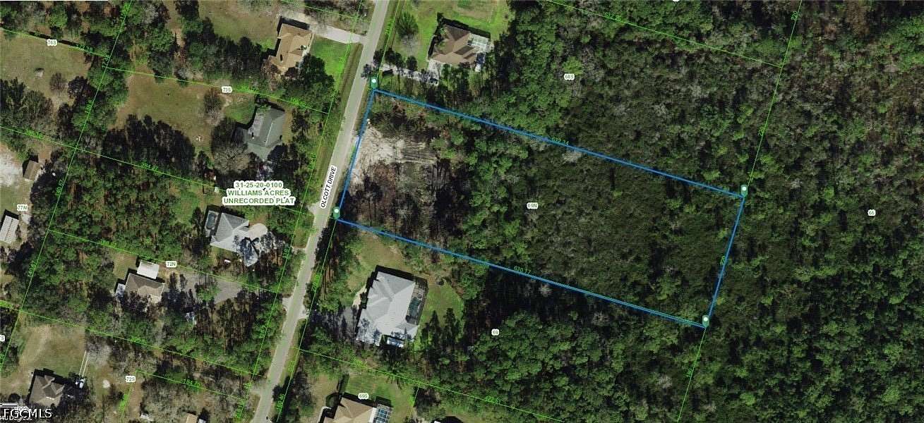 3.33 Acres of Residential Land for Sale in Wesley Chapel, Florida