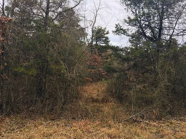 1.5 Acres of Residential Land for Sale in London, Arkansas