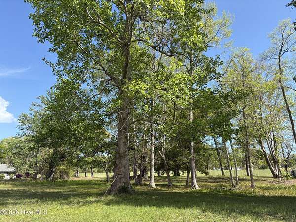 0.33 Acres of Residential Land for Sale in Ocean Isle Beach, North Carolina