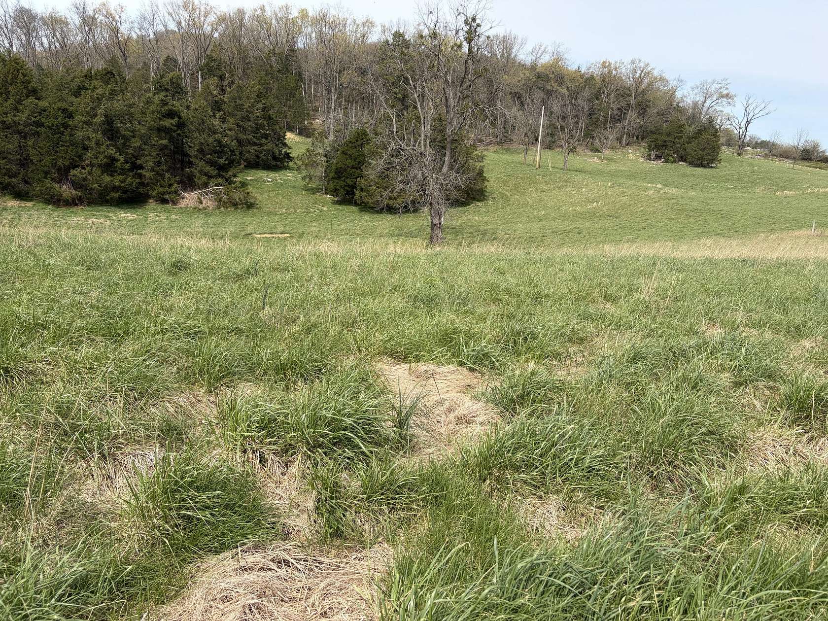45 Acres of Land for Sale in Somerset, Kentucky